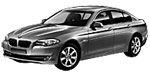 BMW F10 P0C16 Fault Code